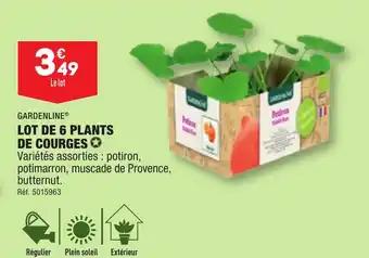 LOT DE 6 PLANTS DE COURGES ✪