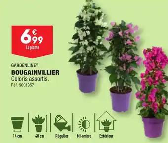 BOUGAINVILLIER