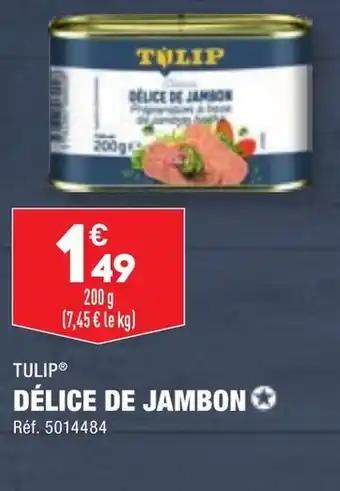 DÉLICE DE JAMBON✪