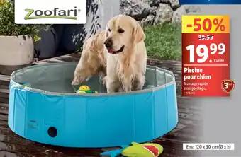 Piscine pour chien