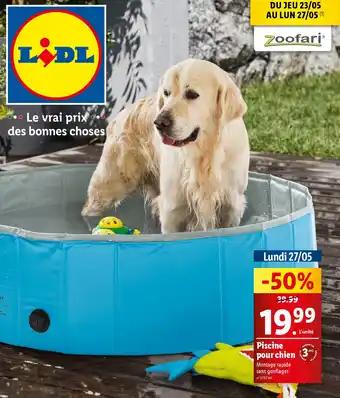 Piscine pour chien 3AM