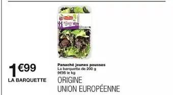 Panaché jeunes pousses