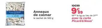 Picard Anneaux de calmar