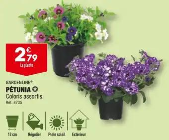 GARDENLINE PÉTUNIA