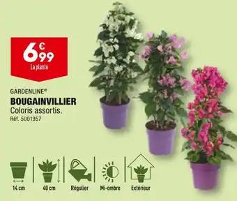 GARDENLINE BOUGAINVILLIER