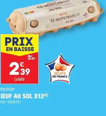 ŒUF AU SOL X12