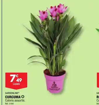 CURCUMA