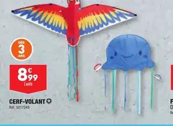 CERF-VOLANT