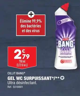 GEL WC SURPUISSANT
