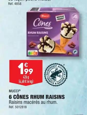 6 CÔNES RHUM RAISINS