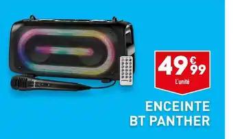 ENCEINTE BT PANTHER