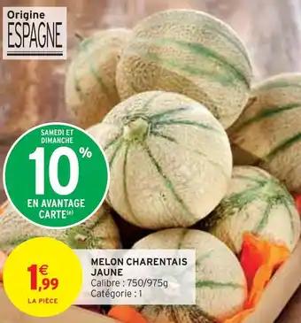 MELON CHARENTAIS