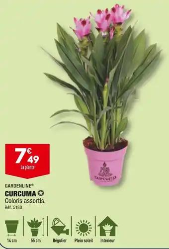 GARDENLINE CURCUMA