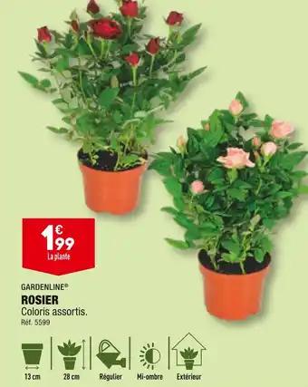 GARDENLINE ROSIER