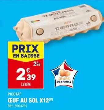 PICOTA ŒUF AU SOL X12