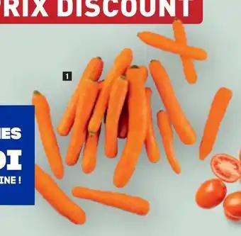 CAROTTES