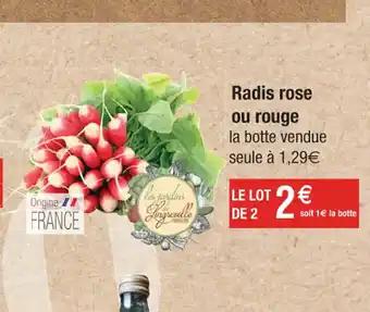 Radis rose ou rouge