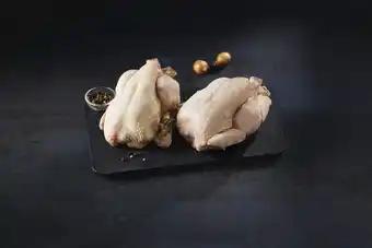 COQUELET