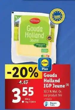 Milbona - gouda holland igp jeune