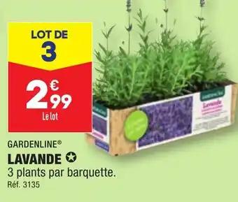 LAVANDE ✪
