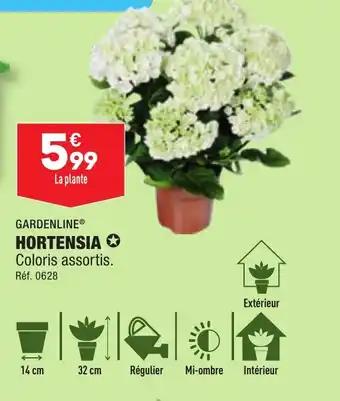 HORTENSIA ✪
