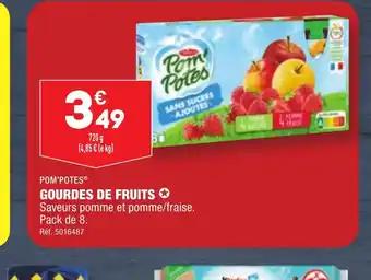 GOURDES DE FRUITS
