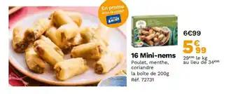 16 Mini-nems