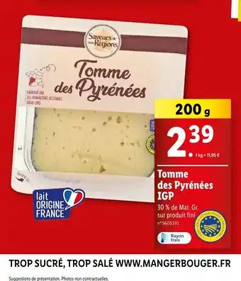 Tomme des Pyrénées