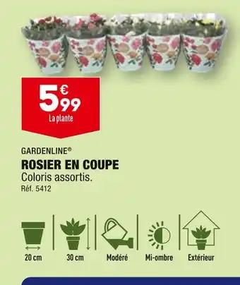 GARDENLINE ROSIER EN COUPE