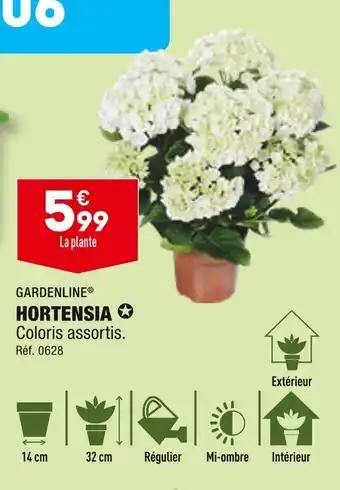 GARDENLINE HORTENSIA