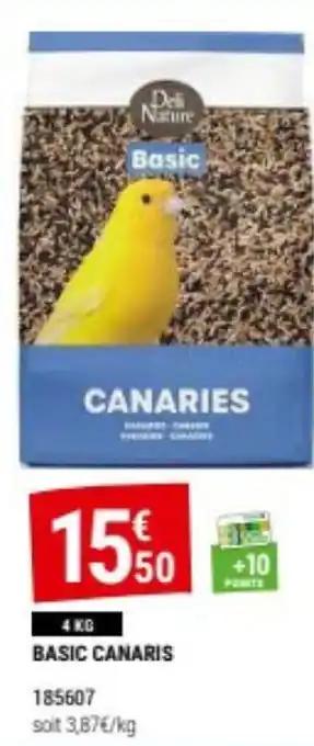 BASIC CANARIS