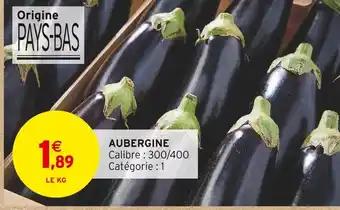 AUBERGINE
