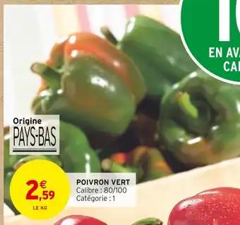 POIVRON VERT