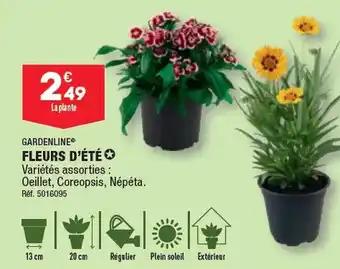 FLEURS D'ÉTÉ✪