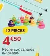 Pêche aux canards