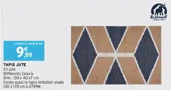 TAPIS JUTE