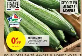 CONCOMBRE