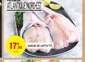 QUEUE DE LOTTE