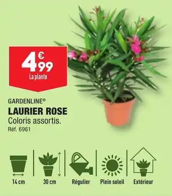 GARDENLINE® LAURIER ROSE