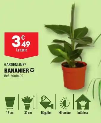 GARDENLINE® BANANIER✪