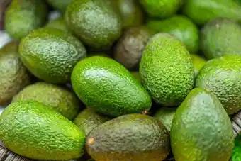Avocat
