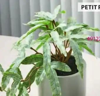 PLANTE ARTIFICIELLE OLSEN