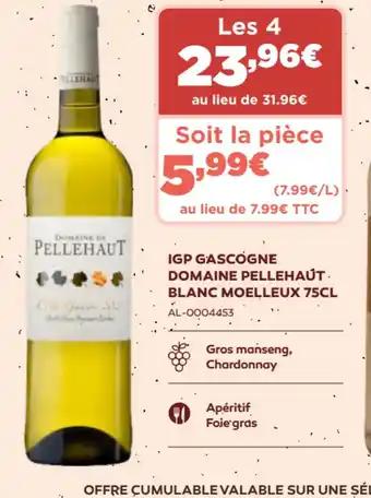 IGP GASCOGNE DOMAINE PELLEHAÚT.