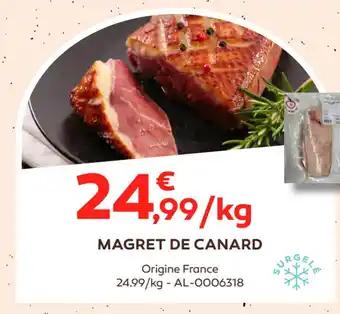 MAGRET DE CANARD