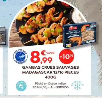 GAMBAS CRUES SAUVAGES MADAGASCAR 12/16 PIECES