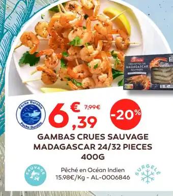 GAMBAS CRUES SAUVAGE MADAGASCAR 24/32 PIECES