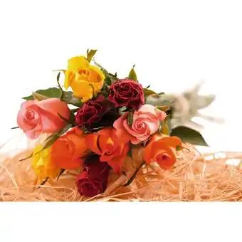 Bouquet De 10 Roses Arlequin + Pic Bonnes Vacances