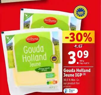 Gouda Holland Jeune IGP (3)