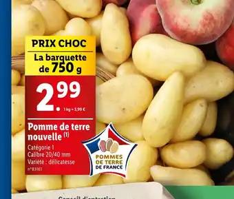 Pomme de terre nouvelle (1)