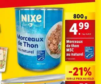 Morceaux de Thon